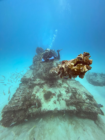 Magna Divers