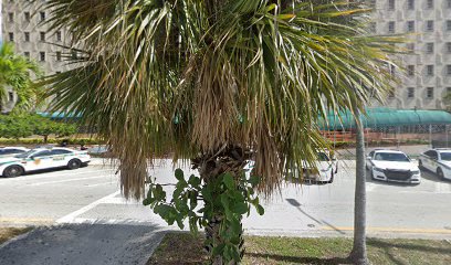 Florida licencing on wheels (FLOW)