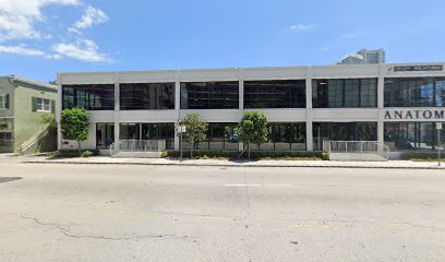 Ford Models Miami