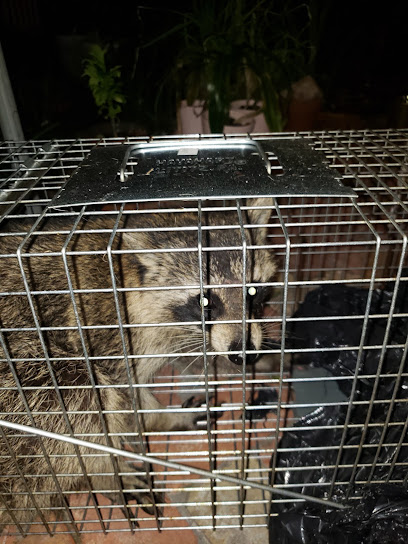 Reliable Animal Removal Inc.