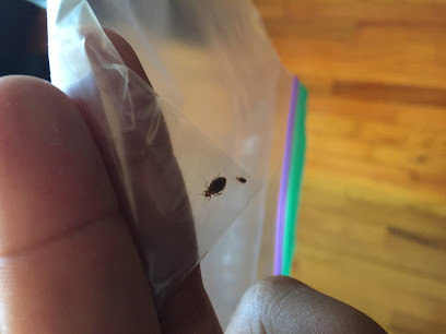 Miami-Dade County Pest Control