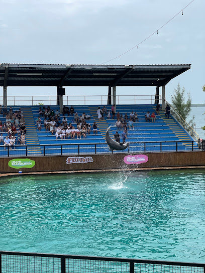 Flipper Show