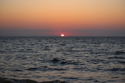 Darwin Beach
