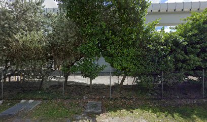 ANUNCIANDO EL REINO DE DIOS AL MUNDO