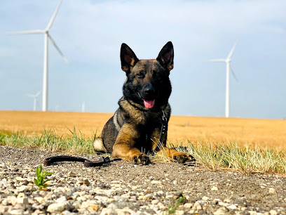 Advanced K9 Academy