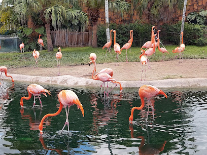 Zoológico de Miami