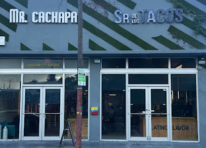 Mr Cachapa Wynwood