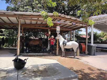 Bonanza Equestrian Center
