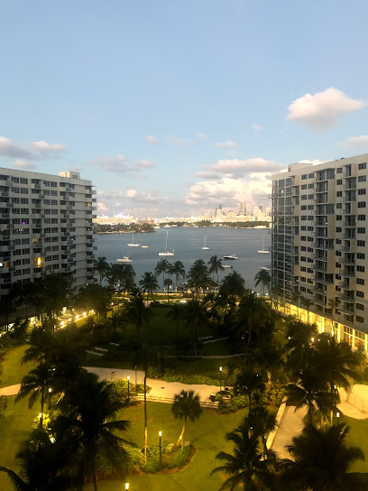 Diving Miami Beach