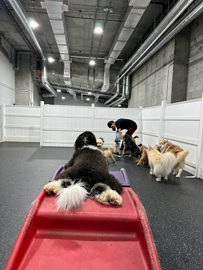 DOG Hotels Brickell