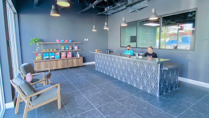 DOG Hotels Miami Shores