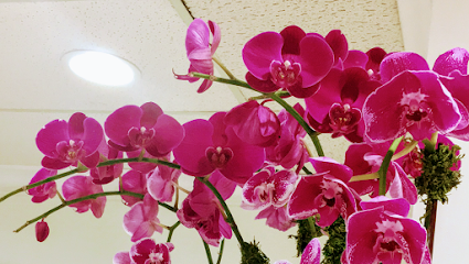 L.G. Cosmetic Center
