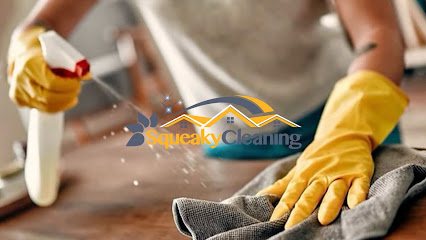 Squeaky Cleaning Miami