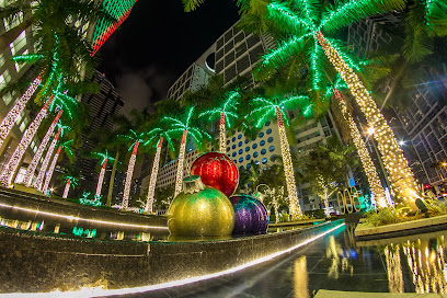 Miami Christmas Lights