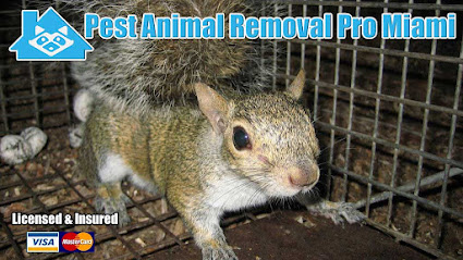Pest Animal Removal Miami