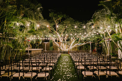 Best Miami Weddings