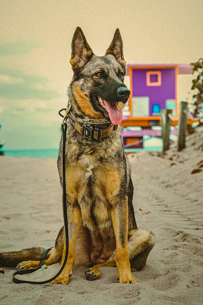 Control Canine