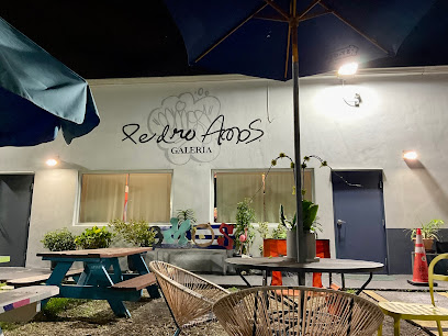 Pedro AMOS Galeria