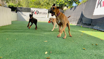 K9 Off Leash