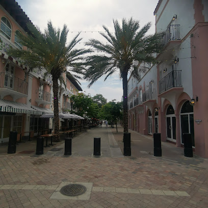 Bodies Kneaded