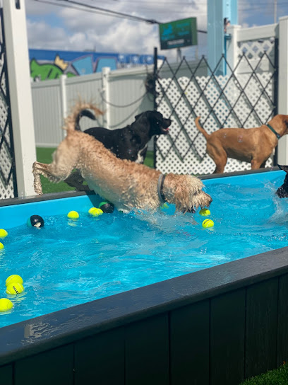 freeDOGm