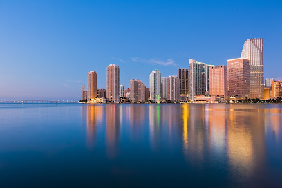 International CPA of Miami