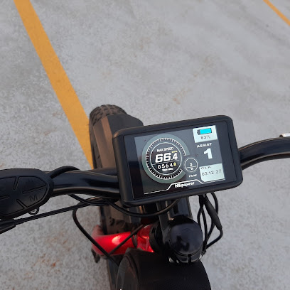 Escapade Electric Bicycles | Powerful, Long Range E-Bikes