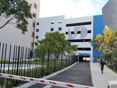 New World School of the Arts