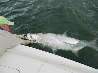 Miami Tarpon Fishing