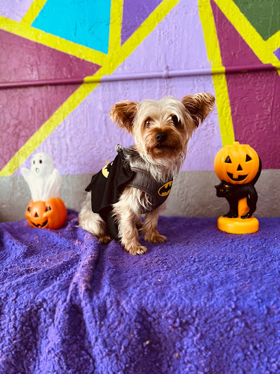 Yoli’s Dog House
