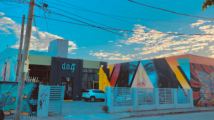 DOG Hotels Wynwood