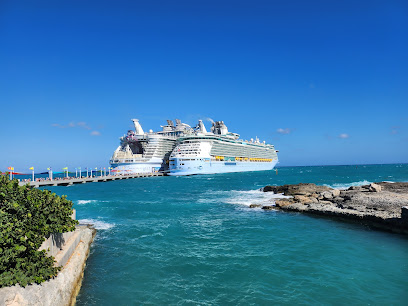 Royal Caribbean Group