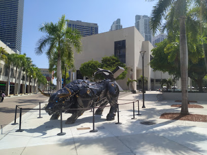 Miami Bull