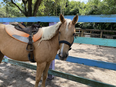 MM Equestrian Farm North Miami