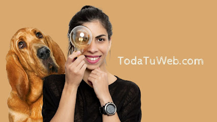 Caro Rojas - Diseño Web | Branding | Publicidad