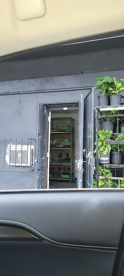 Botanica Eshu Odara (Allapattah)