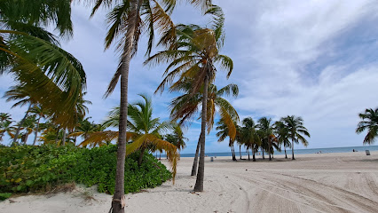 Crandon Beach