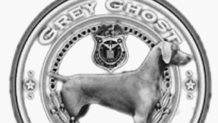 Grey Ghost - Private Investigator Miami