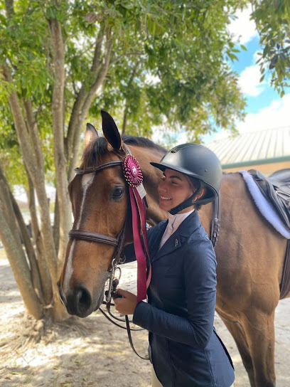 Gold Stirrup Academy