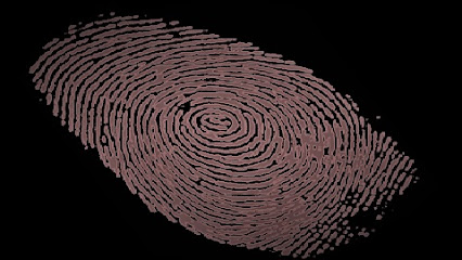 Claims Investigation Agency