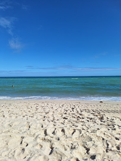 La Playa De Los Pajaros