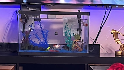 Centro habana pet shop