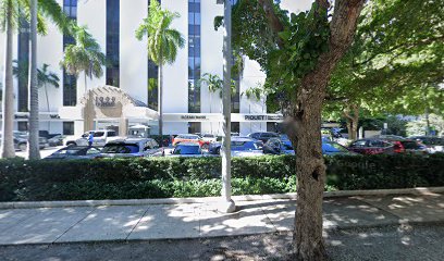 OPF Detectives Analistas