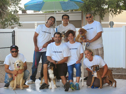 Smart Start Puppies - Dog Training