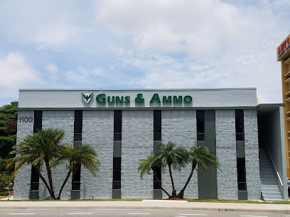 Regions Guns & Ammo
