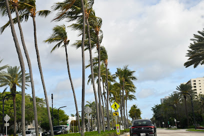 All About Miami