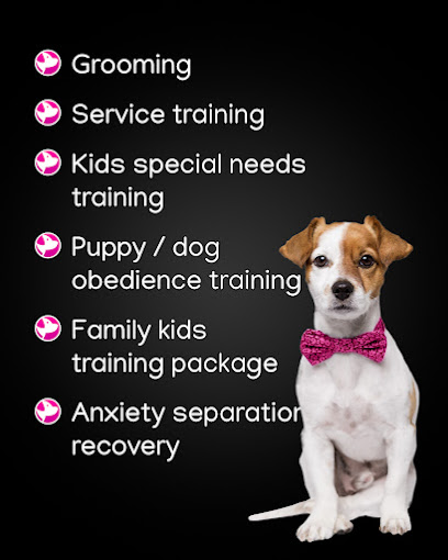 305 Dog Training & Grooming