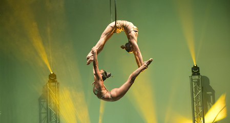 Les Ailes Du Desir Foundation