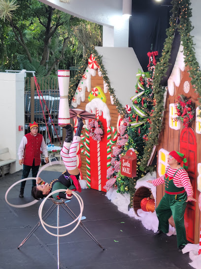 Santa's Circus