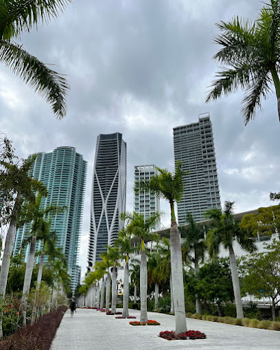 Las 16 Mejores Actividades Para Ni os En Miami MejoresMiami